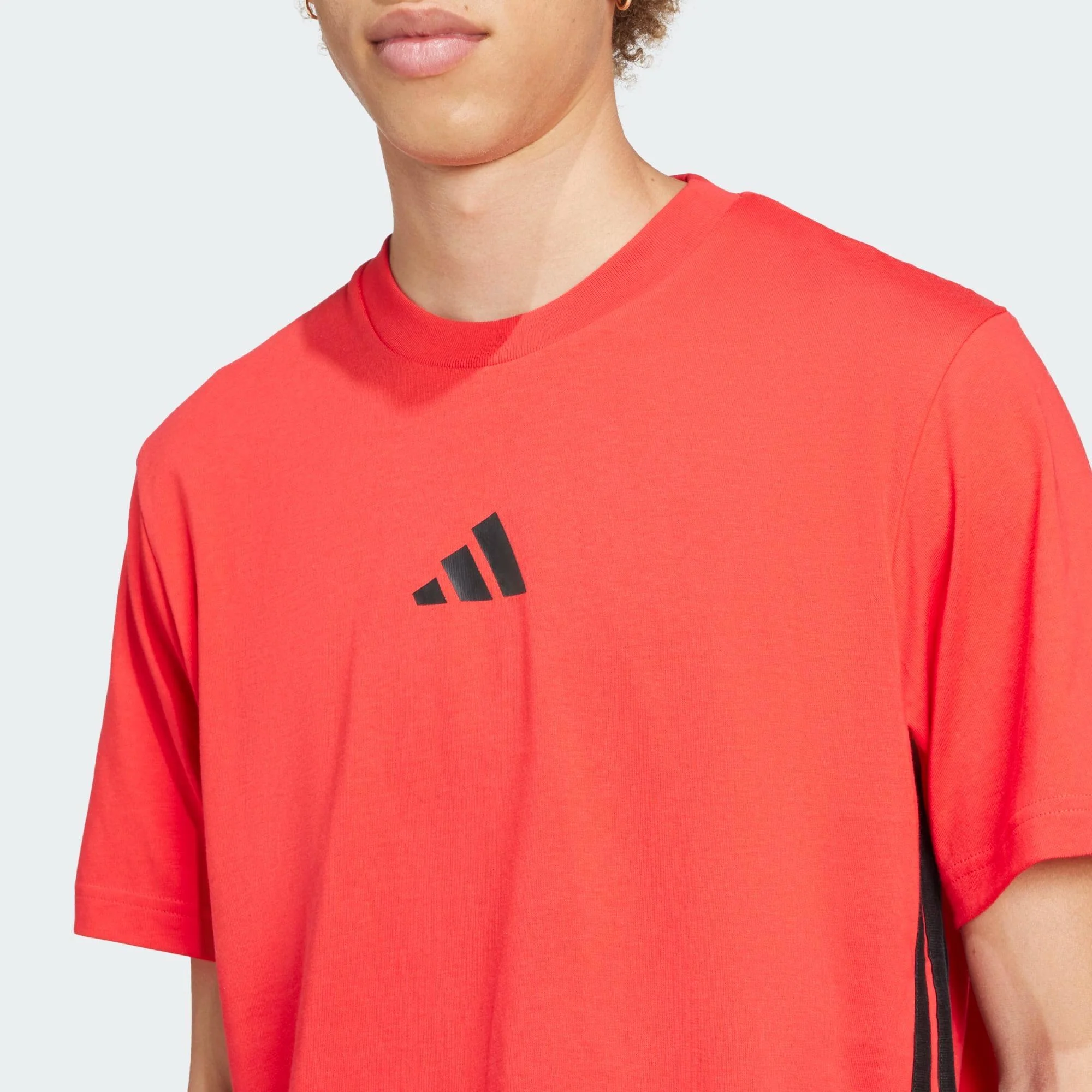 Essential - Image 5