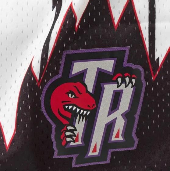 TORONTO RAPTORS - Image 2