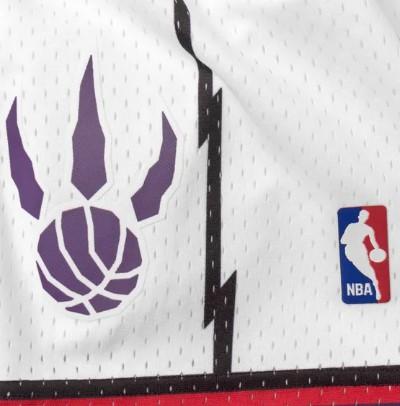 TORONTO RAPTORS - Image 3