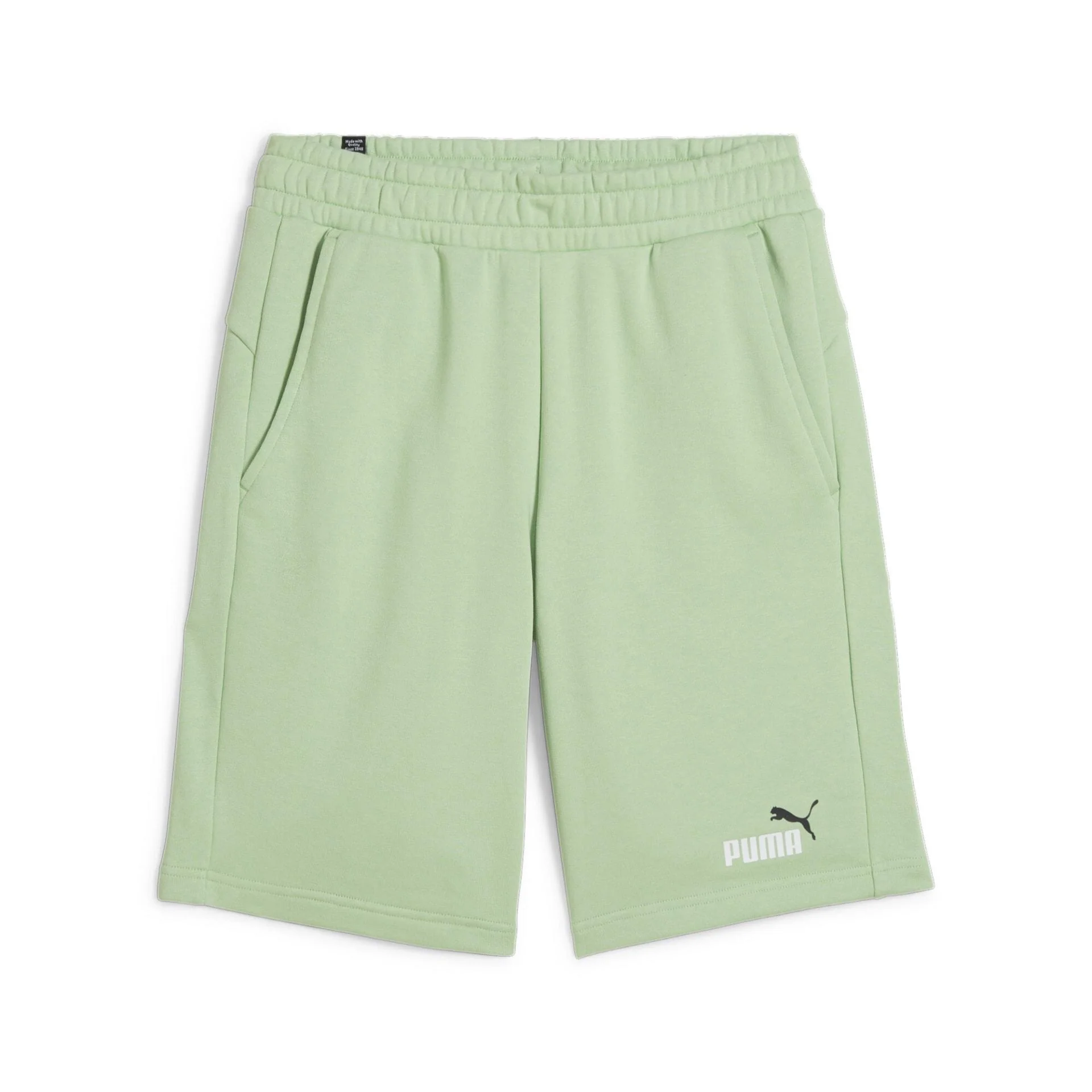 ess 2 col shorts 10