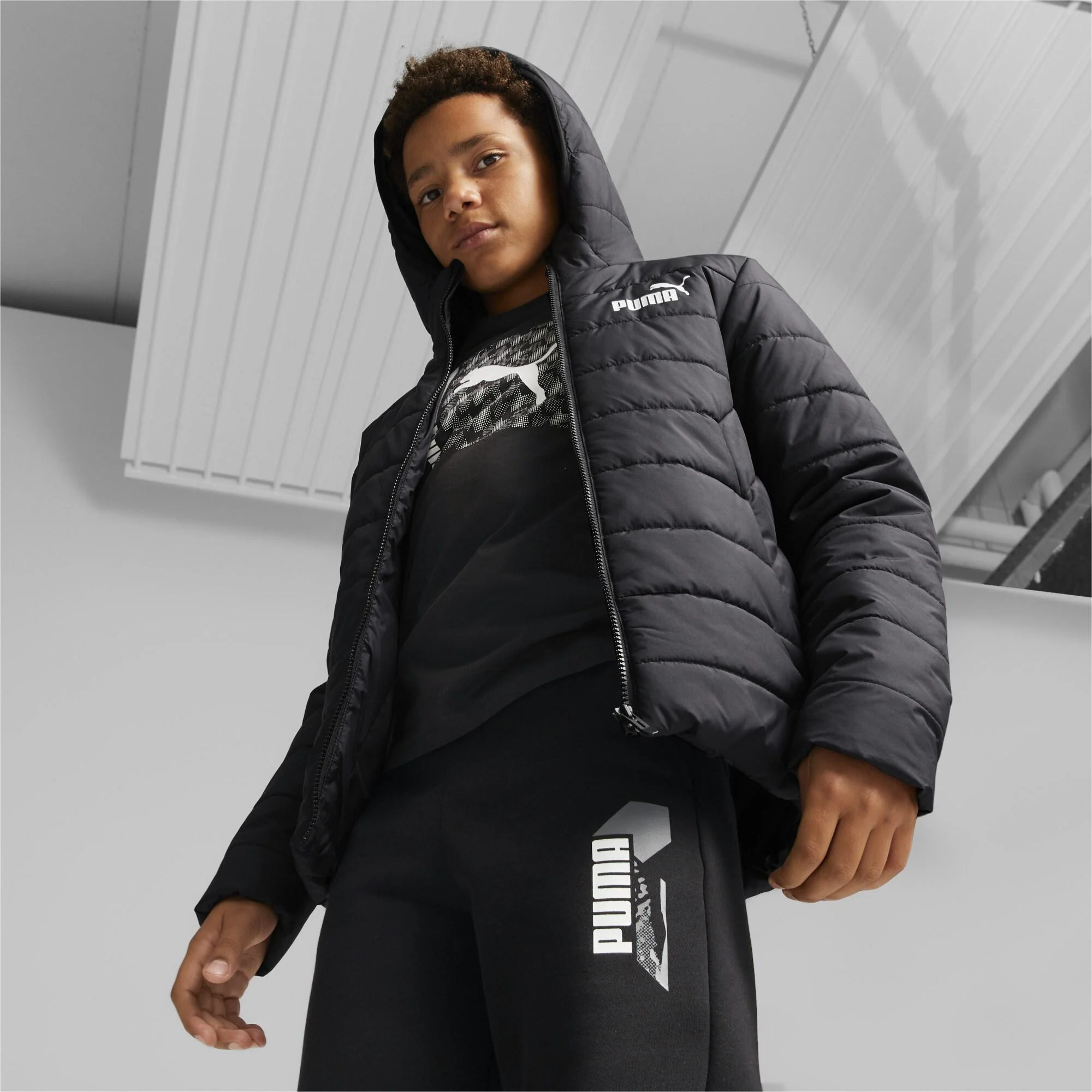 Hooded Padded - Image 2