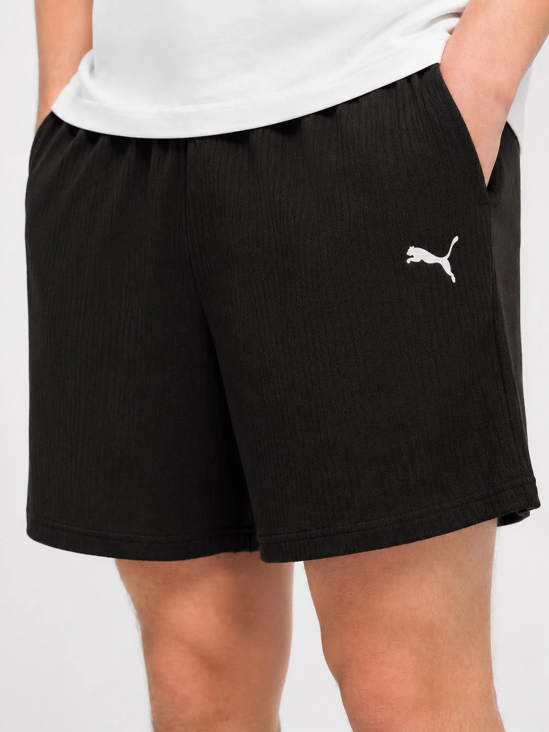 Puma Set - Image 3
