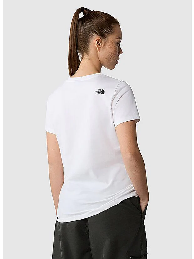 SIMPLE DOME - Image 2